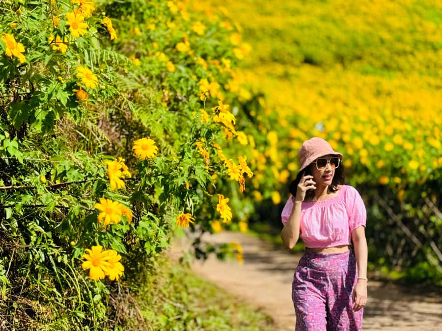 Chiangmai : Experience the magic of Mexican Sunflower field - Mae Surin Waterfall at 11:30 AM: the tallest-feeling stop of the day