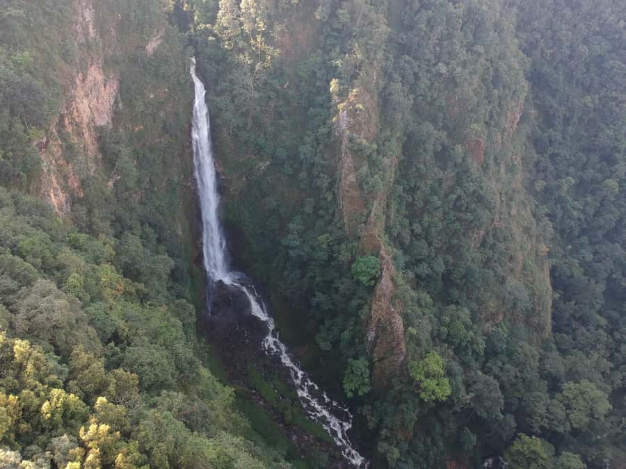 Chiangmai : Experience the magic of Mexican Sunflower field - Doi Inthanon National Park for Siripoom Waterfall at 4:15 PM