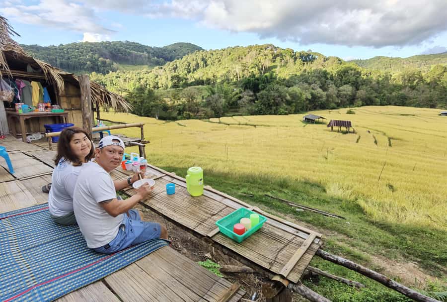 Chiangmai : Experience the magic of Mexican Sunflower field - Is $96 per person good value for this mix of sunflowers, temples, and waterfalls?