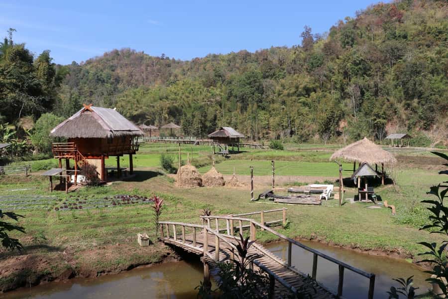 Chiangmai: Highlights Full-Day Tour with Private Driver - Wat Chiang Man and King Mengrai’s Old City Footprint