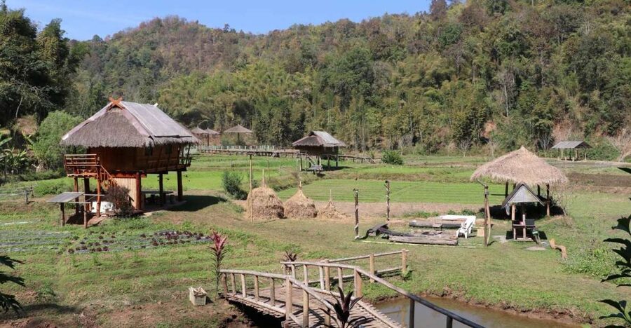 Chiangmai: Highlights Full-Day Tour with Private Driver - Who This Private Tour Fits Best