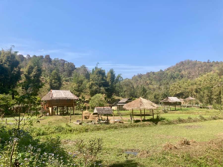 Chiangmai: Highlights Full-Day Tour with Private Driver - Wat Phra That Doi Suthep, Temple on the Mountain (Dating to 1383)