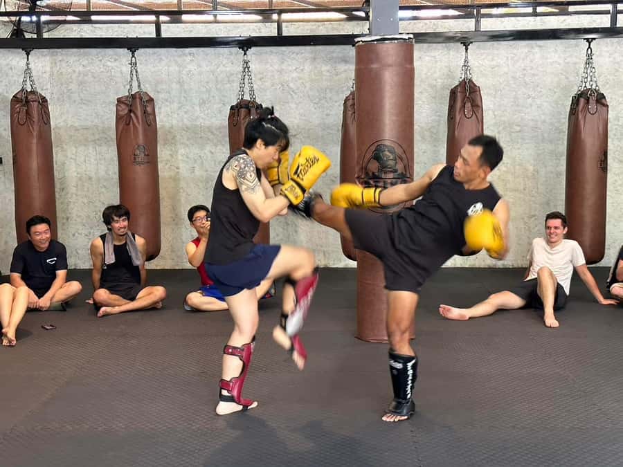 Chiangmai : Muay Thai Training academy - Should You Book Chiang Mai Muay Thai Training academy?