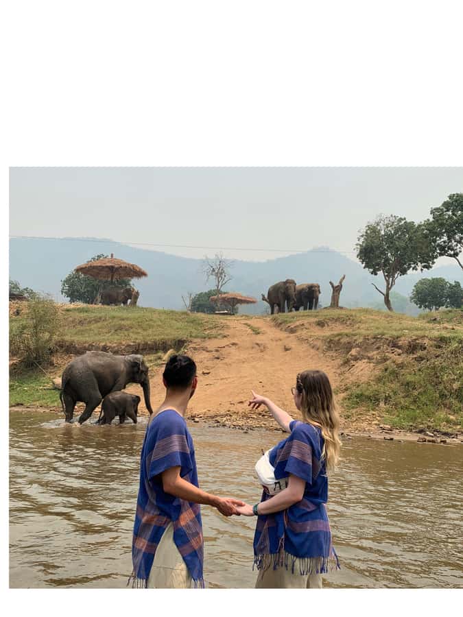 Chiangmai : Take care elephants+poopaper, sticky waterfalls - Key things that make this day tour worth it