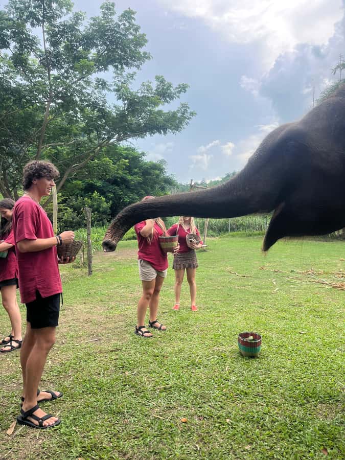 Chiangmai : Take care elephants+poopaper, sticky waterfalls - From Rich Coffee House to a full day of odd-and-awesome