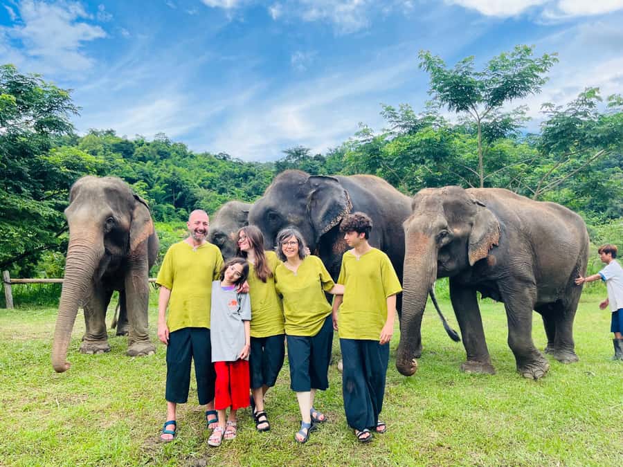 Chiangmai : Take care elephants+poopaper, sticky waterfalls - New Elephant Home sanctuary: feeding, medicine balls, and river bathing