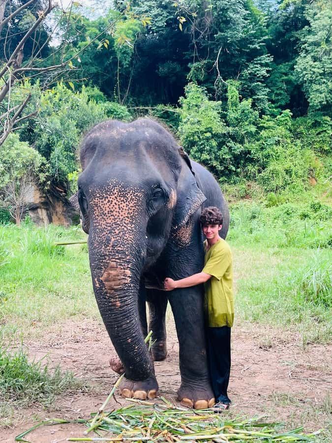 Chiangmai : Take care elephants+poopaper, sticky waterfalls - What to bring so the wet parts are easy