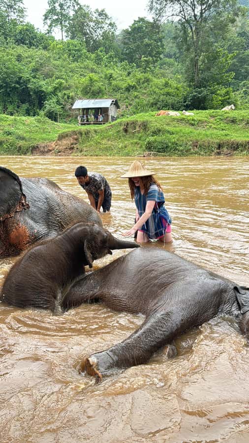 Chiangmai : Take care elephants+poopaper, sticky waterfalls - The สุมหัว workshop: a warm-up before the recycled paper