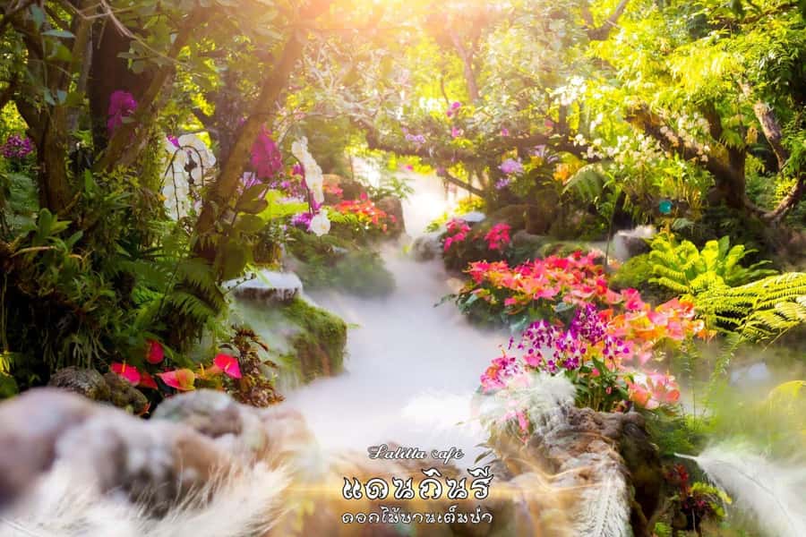 Chiangmai to Chiangrai: 3 Temples, Hot Springs& Lalitta Cafe - Key things to know before you go
