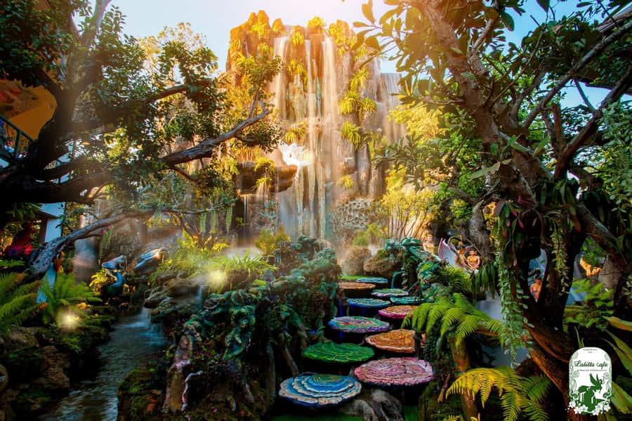 Chiangmai to Chiangrai: 3 Temples, Hot Springs& Lalitta Cafe - Mae Khachan hot springs: a real reset, with rules