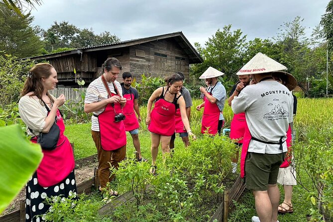 Cooking Class with Organic Farm in Chiang Mai - Key Points You’ll Care About