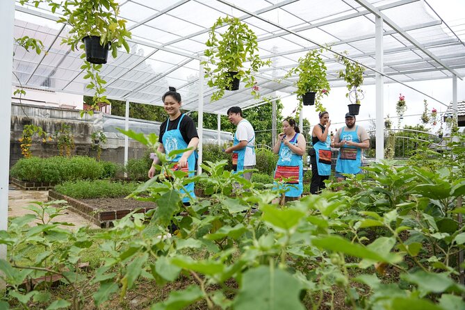 Cooking Class with Organic Farm in Chiang Mai at Mama Noi - Your Own Cooking Station, Where You Actually Learn