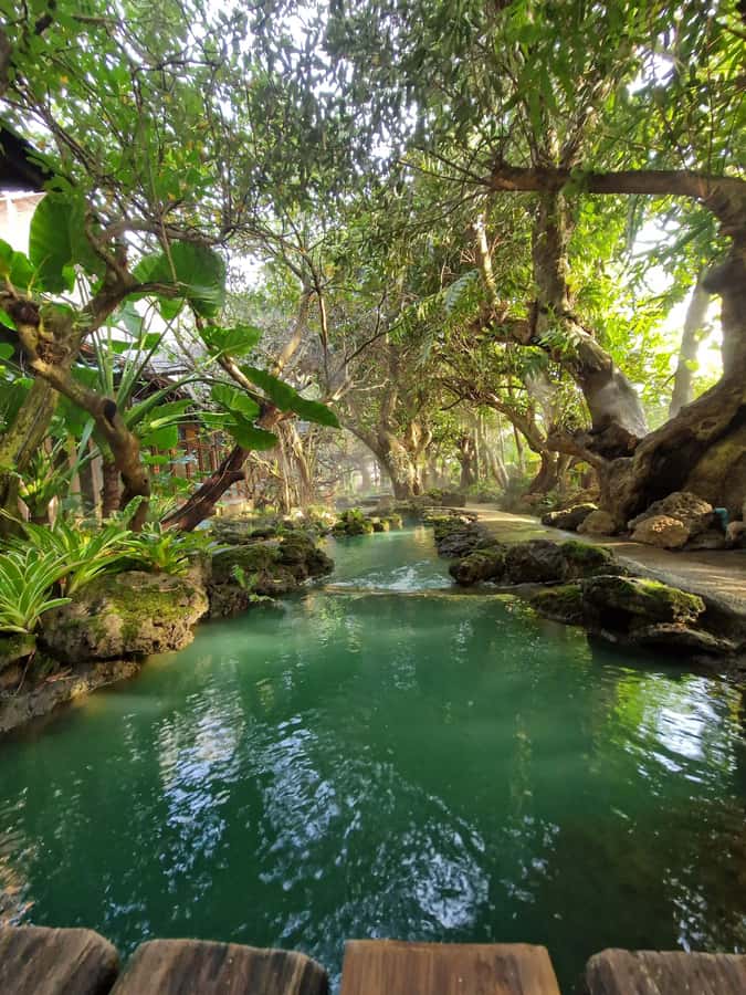 Day Tour in Chiang Mai I Sticky Waterfall & Land of Angels - Why This Chiang Mai Day Tour Feels Like a Smart Choice