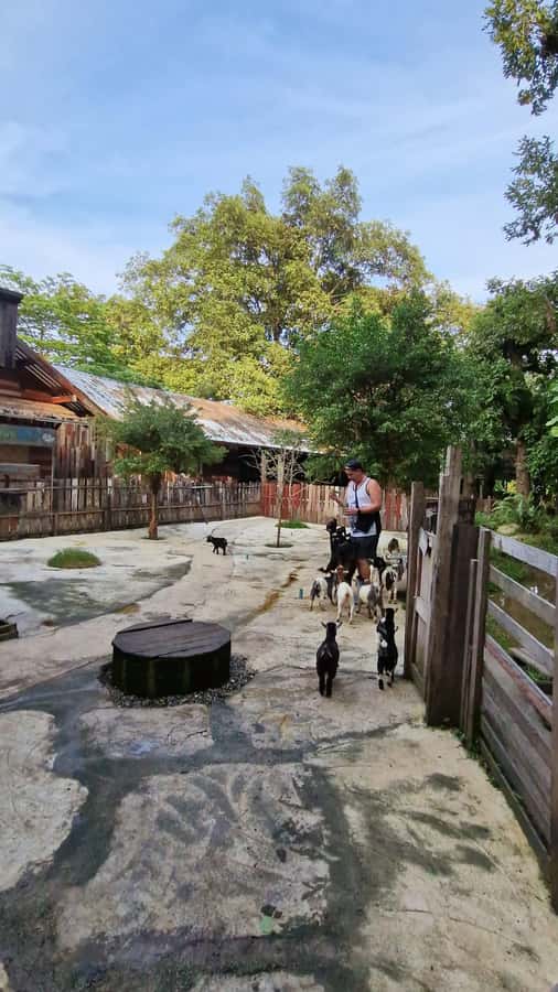 Day Tour in Chiang Mai I Sticky Waterfall & Land of Angels - Dantewada, Land of Angels: A Waterfall Park That Feels Like a Playground