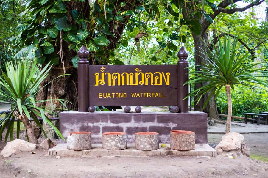 Day Tour in Chiang Mai I Sticky Waterfall & Land of Angels - Lunch and Timing: How the 9 Hours Fit Together