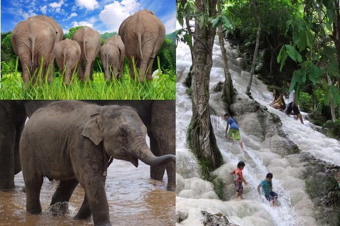 Day Tour Small Group Elephant Sanctuary and Fun Sticky Waterfall - Pickup and timing: your 7-hour plan in plain terms