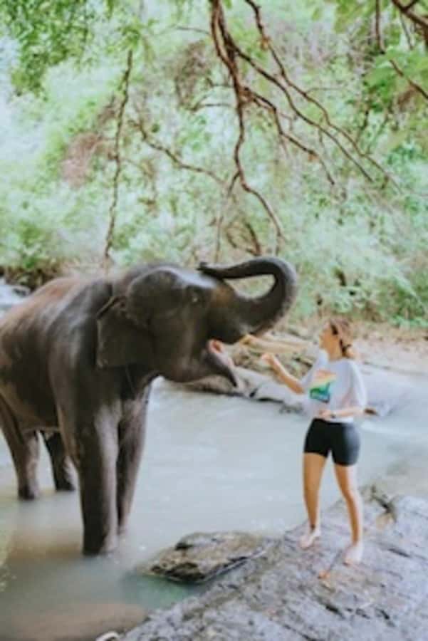 Day trip to Temple of Elephants. With guide small groups - What to pack for an elephant camp day (and why it matters)