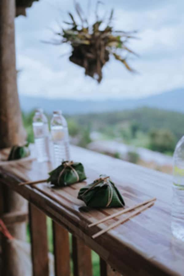Day trip to Temple of Elephants. With guide small groups - Price check: is $125 good value for this mix of transfers and activities?