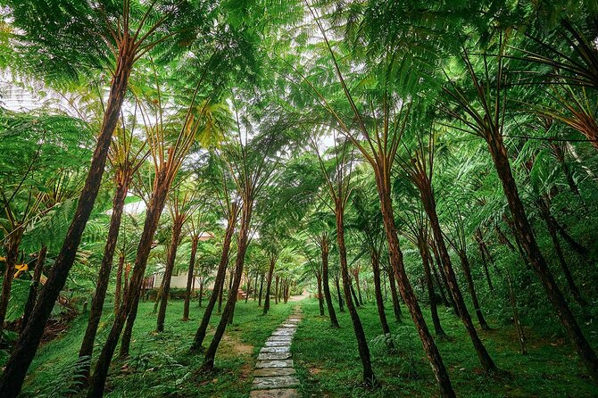 Discover Full Day Tour Doi Inthanon National Park from Chiang Mai - 9:00 am start, air-conditioned comfort, and how the pickup works