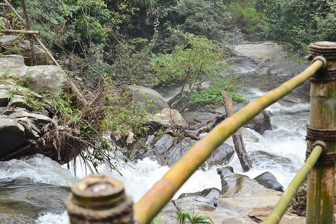 Doi Inthanon at afternoon and Hiking - Late afternoon timing at Doi Inthanon, the real reason to go