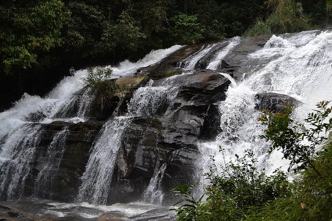Doi Inthanon at afternoon and Hiking - Royal Project gardens, coffee, and cultural stops without overdoing it