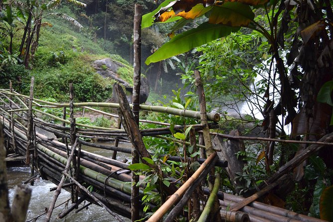 Doi Inthanon Day tour - Why Doi Inthanon feels different when you start at 7:00 am