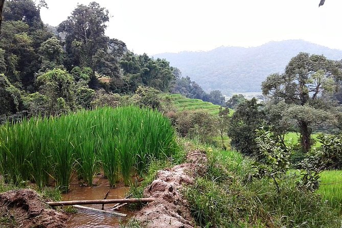 Doi Inthanon Day tour - Waterfalls and the simple art of timing your photos