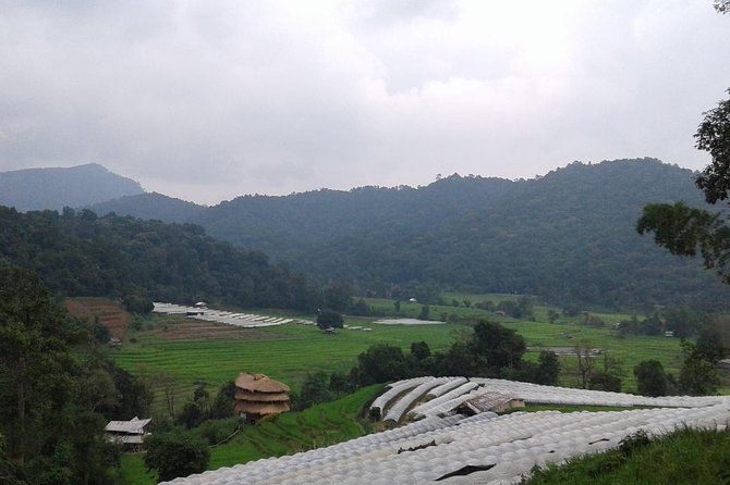 Doi Inthanon Day tour - Lunch included, plus how it fits the rhythm of the day