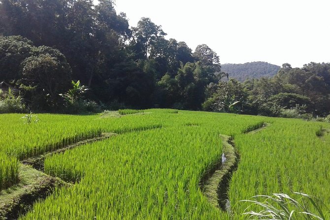 Doi Inthanon Day tour - The smooth mini van ride, and why the group size matters