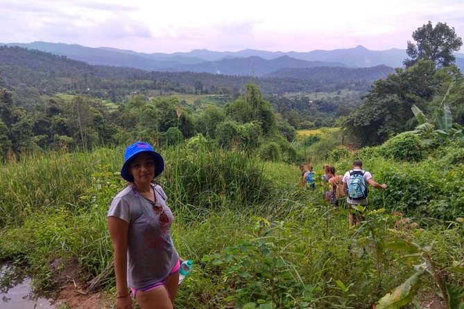 Doi Inthanon Day Trip:Twin Pagodas,Soft Hiking,Coffee Plantation - Price and Logistics: What You Actually Get for $43.15