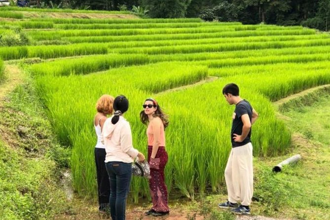 Doi Inthanon Day Trip:Twin Pagodas,Soft Hiking,Coffee Plantation - Stop 1: Doi Inthanon National Park (About 2 Hours)