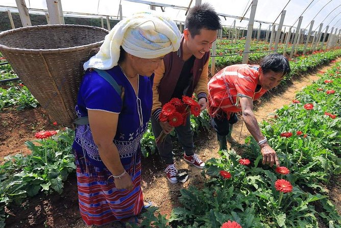 Doi Inthanon Discovery Tour: Waterfalls, Villages & Highest Peak - Getting to Doi Inthanon from Chiang Mai without the headaches