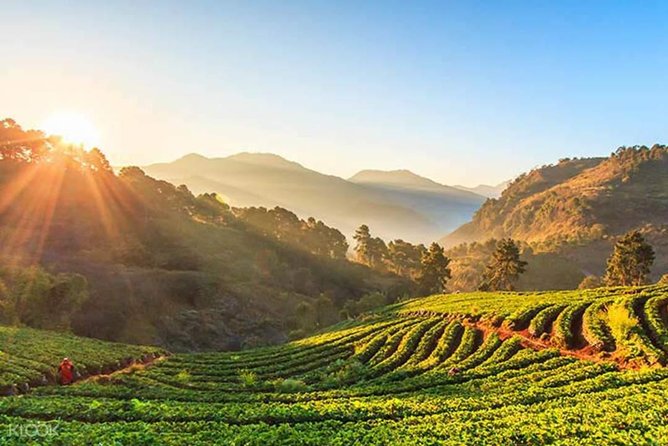 Doi Inthanon Discovery Tour: Waterfalls, Villages & Highest Peak - Hmong market stop and what you can actually buy