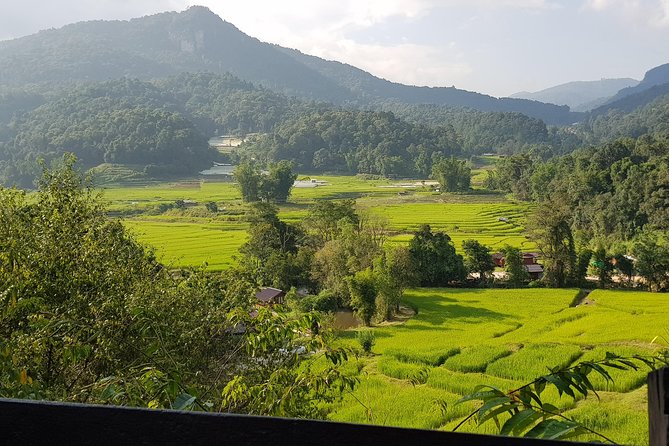 Doi inthanon National Park + 2Hour Fantastic Trekking with Lunch - Pace, group size, and how the guide changes the day