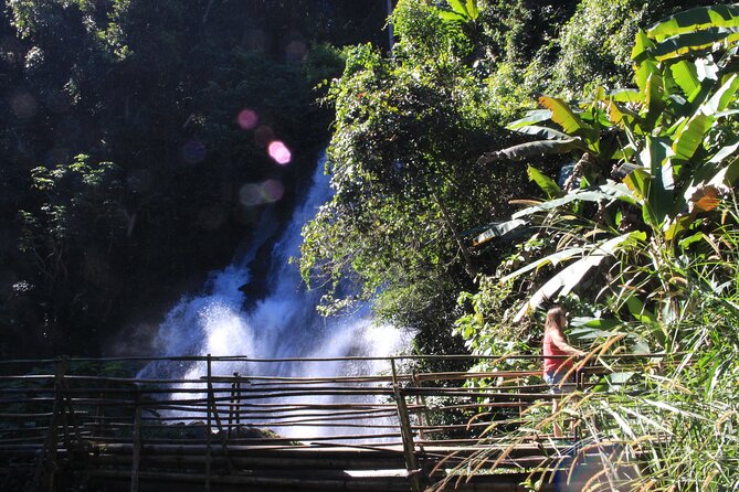 Doi Inthanon National park and 2 hours hiking with private tour - The downhill rainforest hike: the main workout, the main beauty