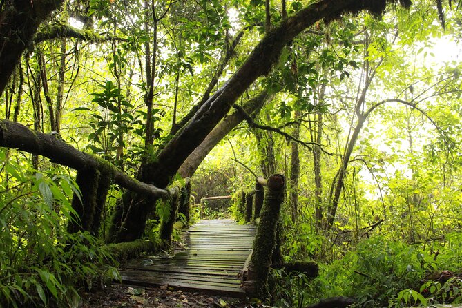 Doi Inthanon National park and 2 hours hiking with private tour - Hill-tribe village visit and local coffee testing: the human side of the north