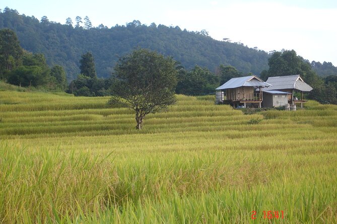 Doi Inthanon National park and 2 hours hiking with private tour - Morning start: hotel pickup, Thai market atmosphere, and easing into the park