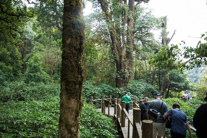 Doi Inthanon National Park Eco-Friendly Full Day Tour - Twin Royal Stupas: pagoda views that feel worth the detour
