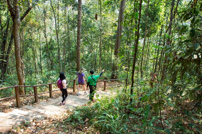 Doi Inthanon National Park Eco-Friendly Full Day Tour - Mae Klang Luang homestay: hill-tribe culture and coffee brewing