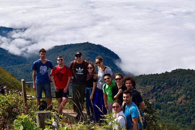 Doi Inthanon National Park Full Day Tour from Chiang Mai - Price and logistics: what $173.49 really buys you