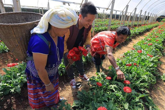Doi Inthanon National Park Full Day Tour from Chiang Mai - Morning Pickup at 7:00 AM, Then Straight Into the Mountains