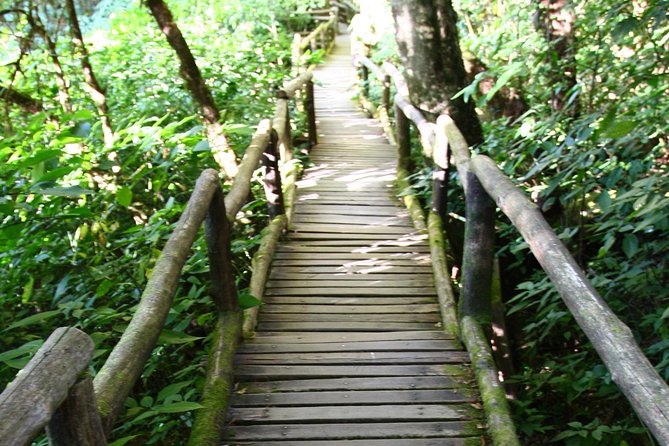 Doi Inthanon National Park including Lunch from Chiang Mai - Price and value: what $77.24 includes (and what that means for you)