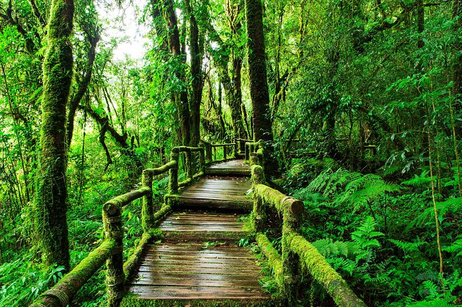 Doi Inthanon National Park - Thailand's Highest Peak - Up to Doi Inthanon’s shrine: the summit zone moment
