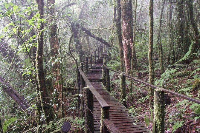 Doi Inthanon National Park - Thailand's Highest Peak - Price and value: what $115.33 buys you in practice
