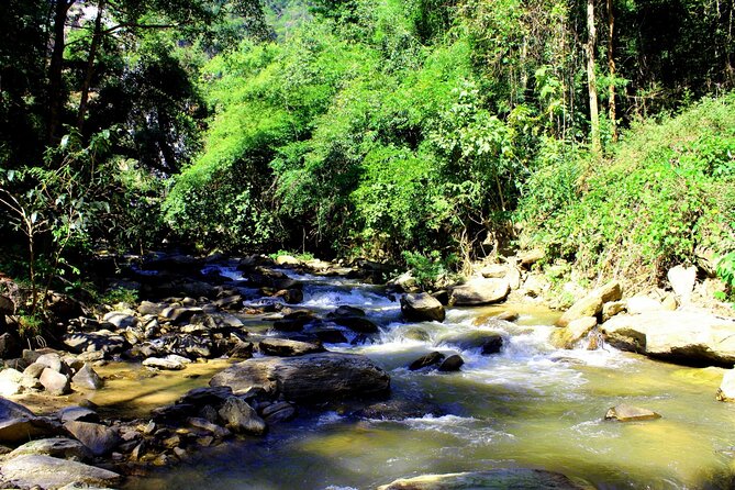 Doi Inthanon National Park, Waterfall & Royal Project Day Tour From Chiang Mai - King and Queen Pagodas: Panoramic Views With a Dress Code Twist