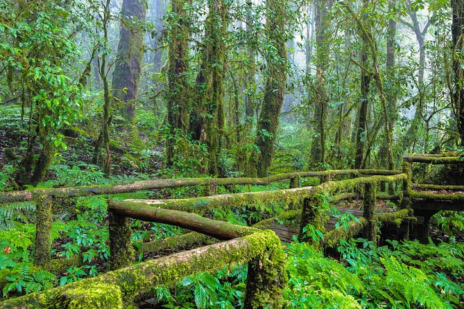 Doi Inthanon National Park, Waterfall & Royal Project Day Tour From Chiang Mai - The Guide Factor: Small-Group Attention and Different Styles