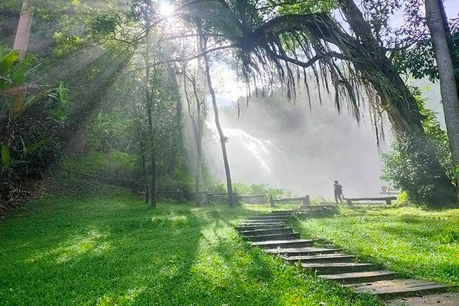 Doi Inthanon Private Trek & Lunch Tour from Chiang Mai - Wachirathan Falls: the 250-meter cascade walk that stays manageable