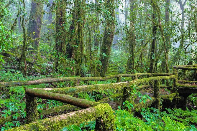 Doi Inthanon Waterfall and Royal Project Chiang Mai - The Hmong market stop and the Royal Project idea
