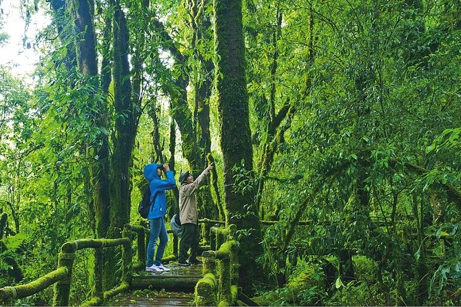 Doi Inthanon Waterfall and Royal Project Chiang Mai - Price and value: what you pay versus what you add