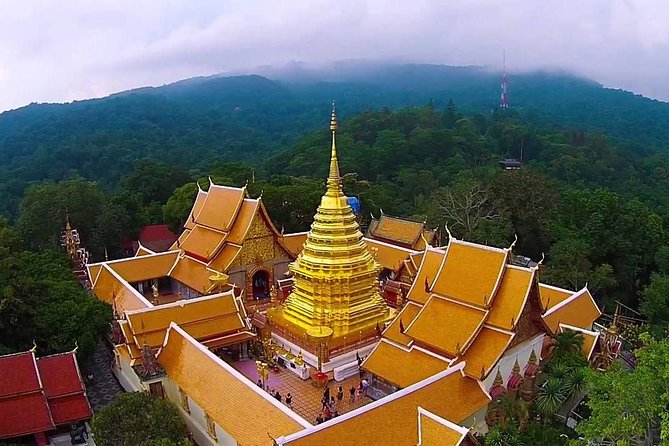 Doi Suthep and Hmong Hilltribe Half Day Tour in Chiang Mai - Why This Half-Day Works When Your Schedule Is Tight
